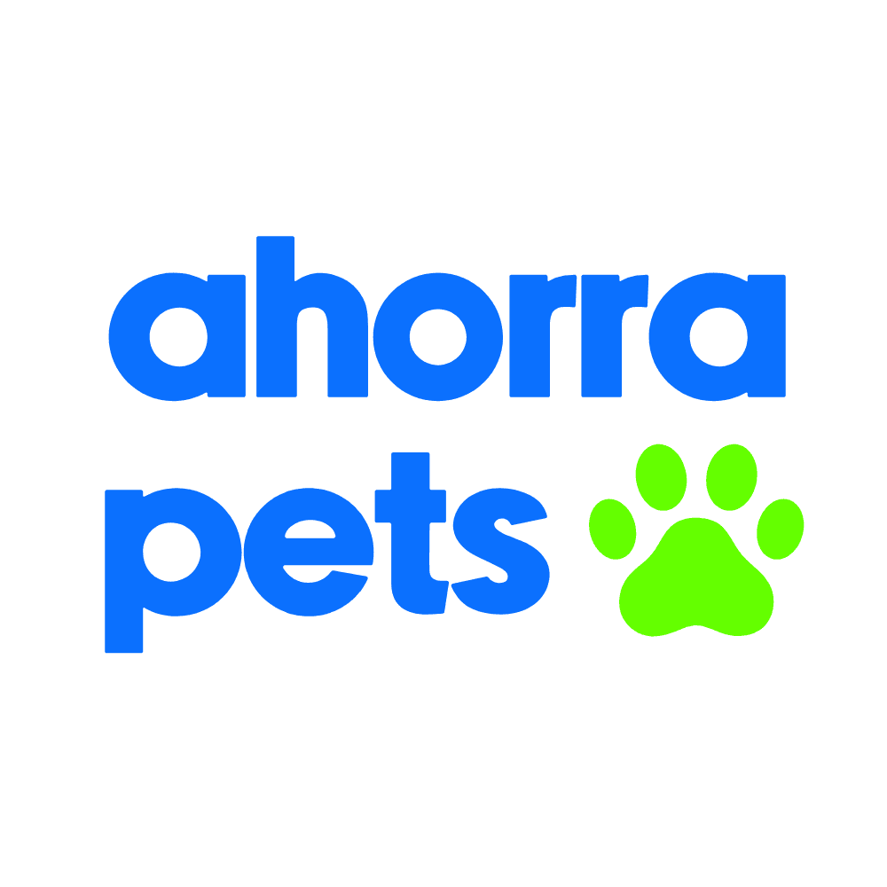 Screenshots of the dashboard project showing desktop version