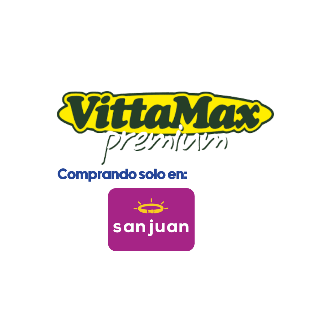 Screenshots of the dashboard project showing desktop version