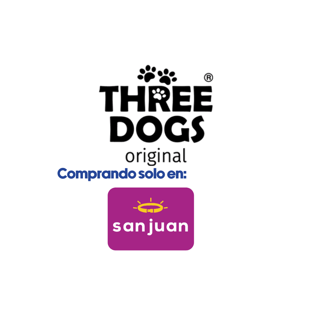 Screenshots of the dashboard project showing desktop version