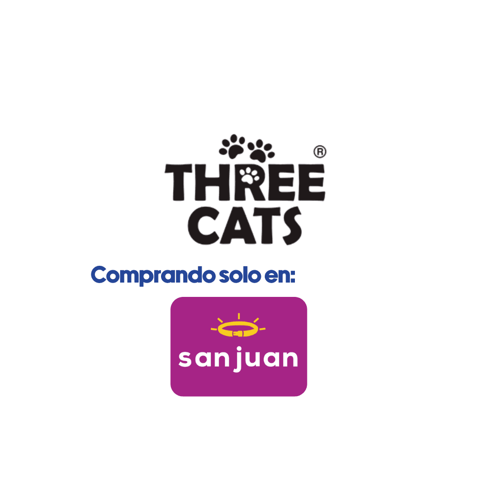 Screenshots of the dashboard project showing desktop version