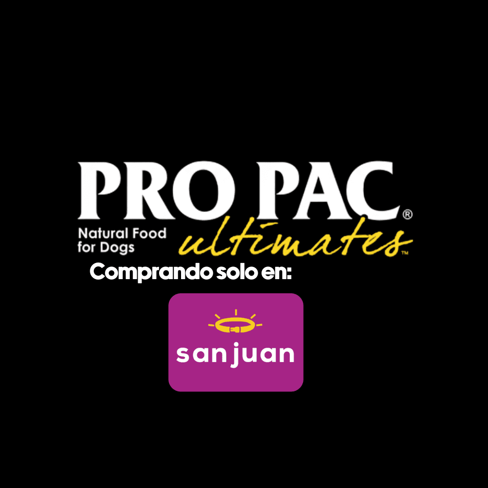 Screenshots of the dashboard project showing desktop version