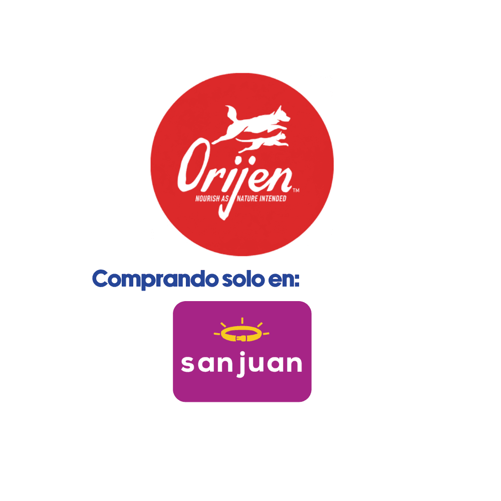 Screenshots of the dashboard project showing desktop version