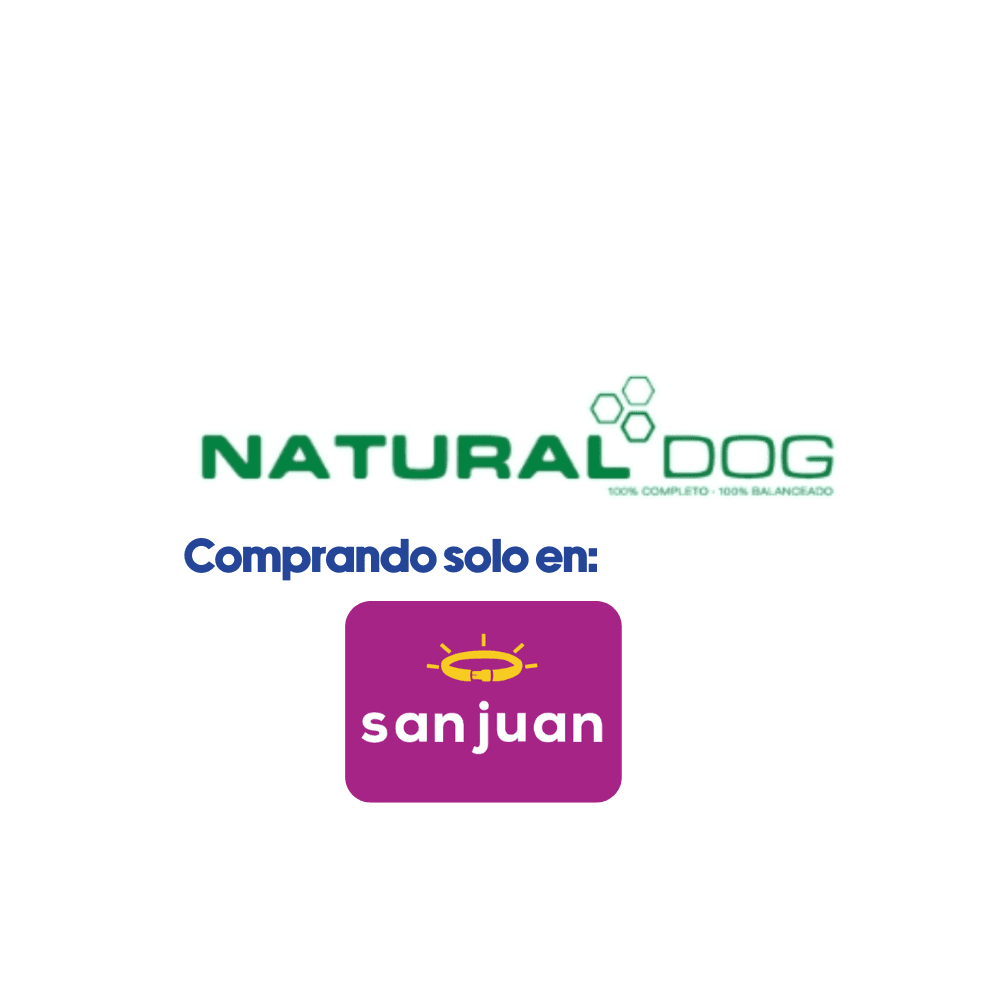 Screenshots of the dashboard project showing desktop version