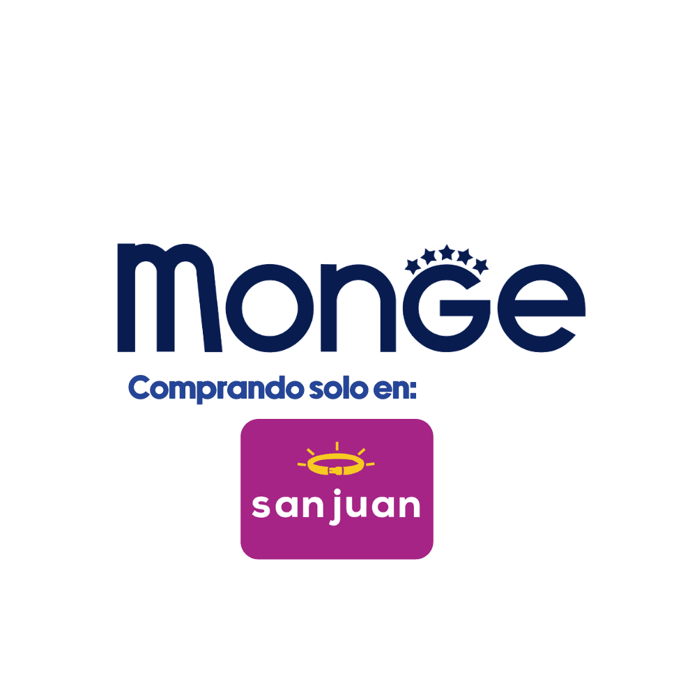 Screenshots of the dashboard project showing desktop version