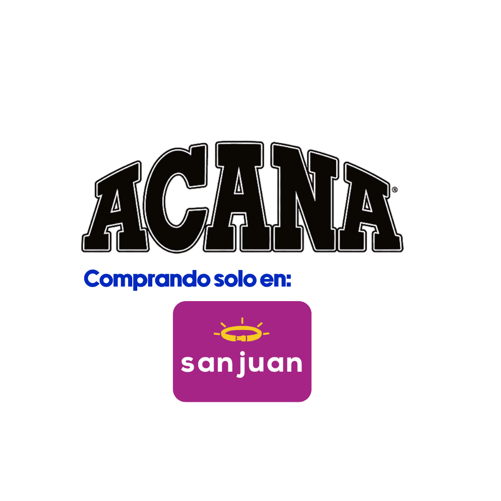 Screenshots of the dashboard project showing desktop version